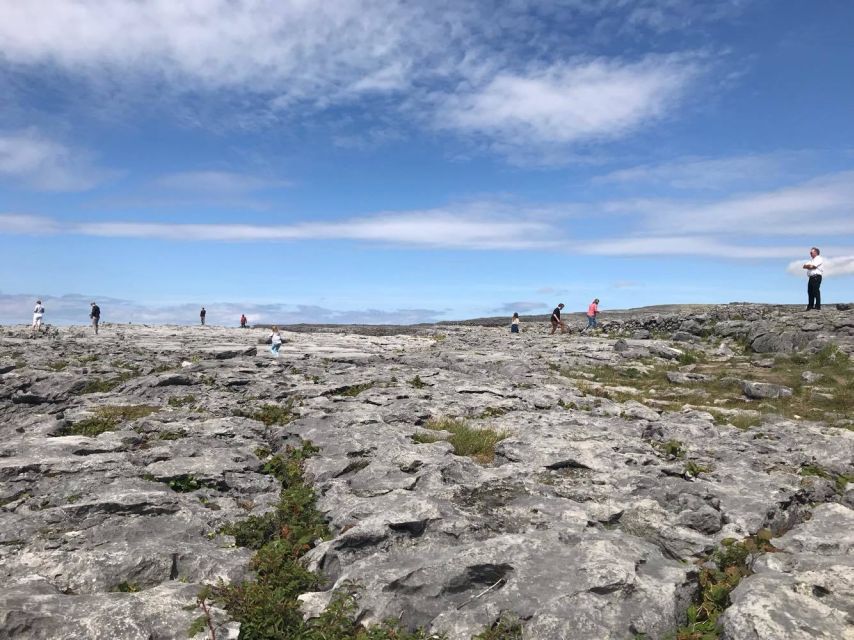 From Dublin: 3-Day Cork, Ring of Kerry, Ciffs of Moher Tour - Should You Book This Cork, Ring of Kerry, and Cliffs of Moher Tour?