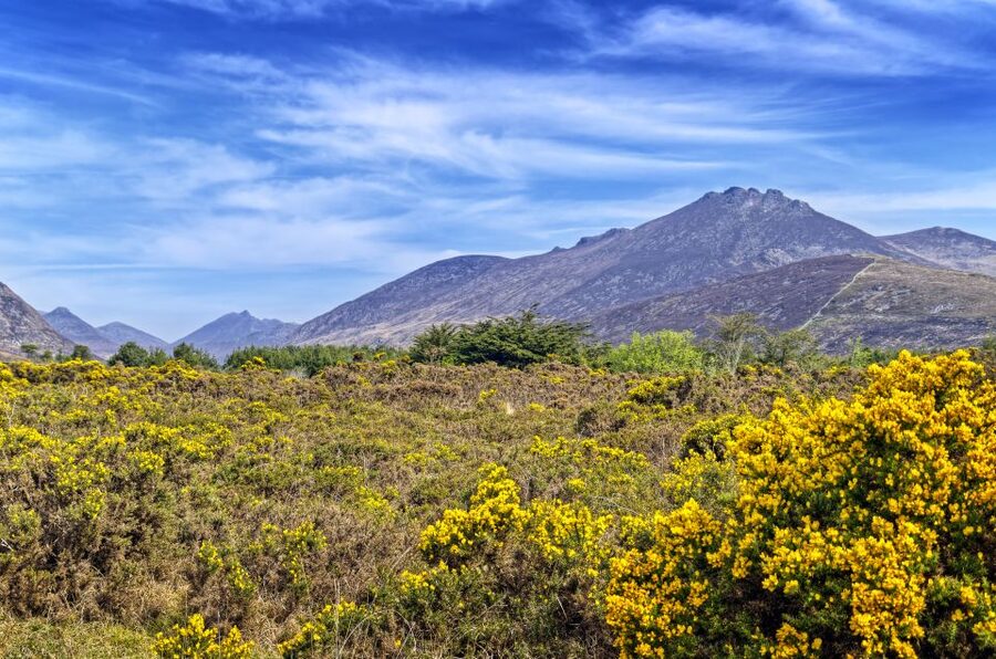 From Dublin: 3-Day Discover Northern Ireland Tour - Winterfell at Castle Ward, then St Patrick and the Mourne Mountains