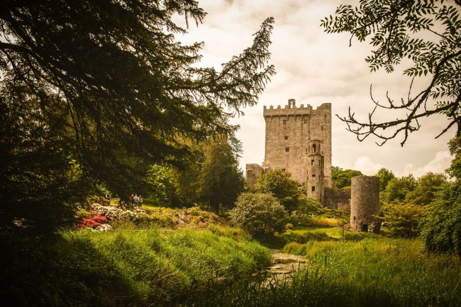 From Dublin: 5-Day Tour to the Southwest with Accommodation - Getting comfortable: transport, luggage limits, and timing