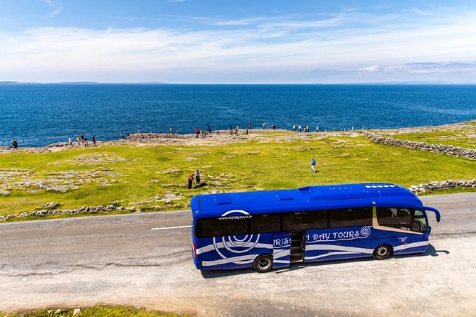 From Dublin: Cliffs of Moher, Bird of Prey & Aillwee Cave - Cliffs of Moher and Aillwee Cave, the Burren in a single long day