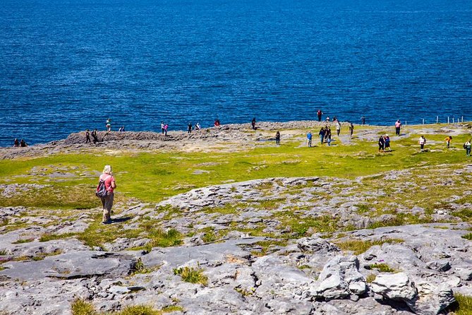 From Dublin: Cliffs of Moher, Bird of Prey & Aillwee Cave - Fanore lunch stop at O’Donohue’s Pub: plan for your own meal