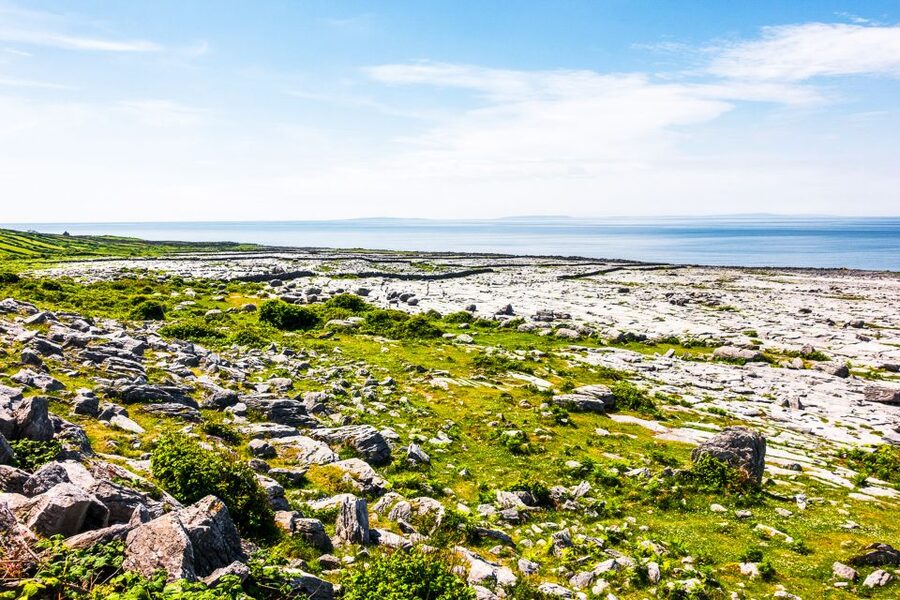 From Dublin: Cliffs of Moher, Burren & Galway City Day Tour - Included value: $89 is mostly about access plus time management