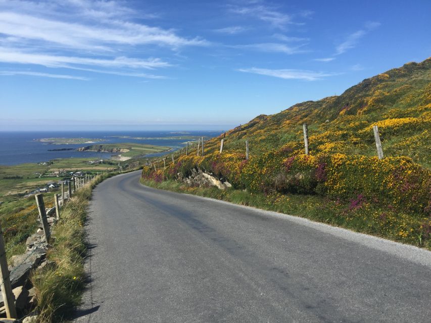 From Dublin: Connemara and Galway Bay Day Tour - Galway City of the Tribes and the Drive Toward Clifden
