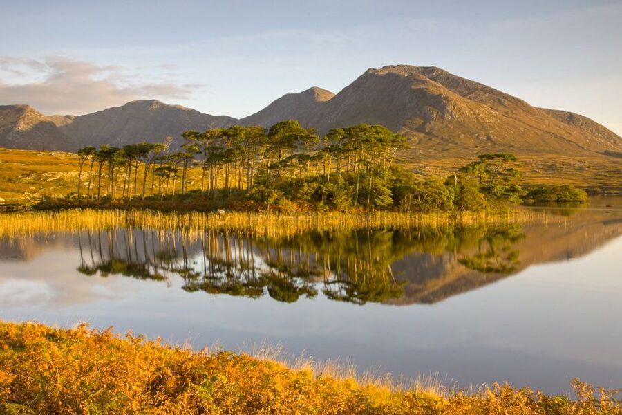From Dublin: Connemara and Galway Full-Day Tour - Price and Comfort on the $85 Full-Day Format