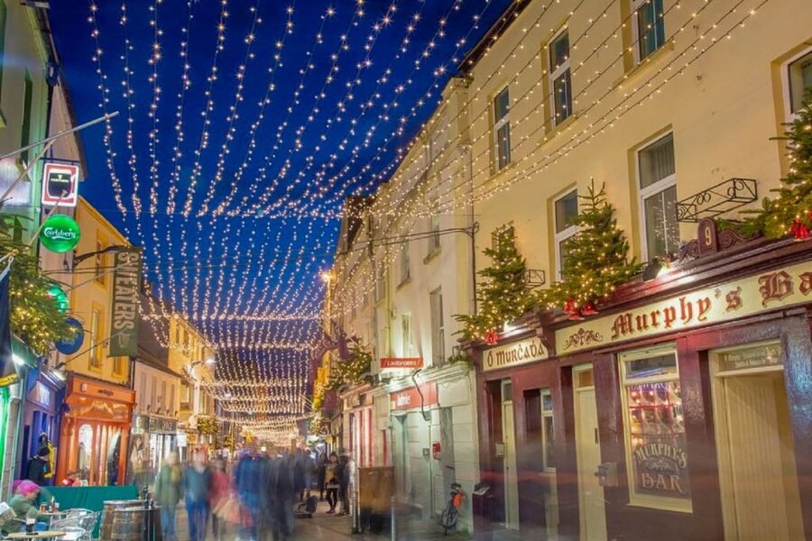 From Dublin: Connemara and Galway Full-Day Tour - Glengowla Family Farm and Historic Silver Mines: See Working Ireland Up Close