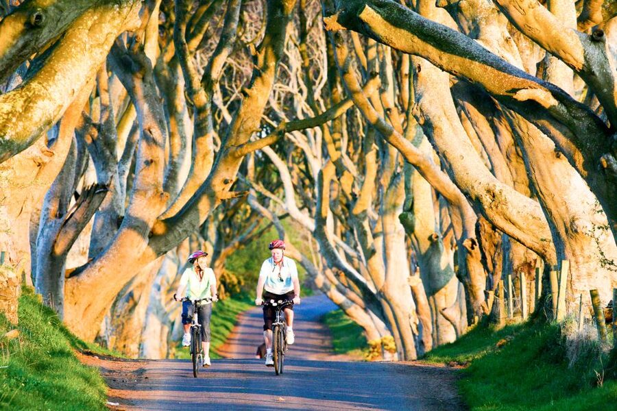From Dublin: Giant's Causeway & Belfast Titanic with Ticket - Giant’s Causeway: UNESCO Basalt Columns, Viewpoints, and a Real Walk