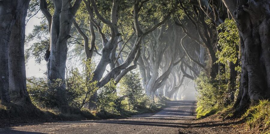 From Dublin: Giant's Causeway Tour and Whiskey Tasting - Belfast at Thompson Dock: Titanic Distillers and Whiskey Tasting