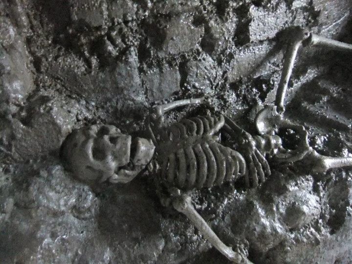 From Dublin: Gravedigger Ghost Bus Tour - Who this Dublin ghost bus tour is best for