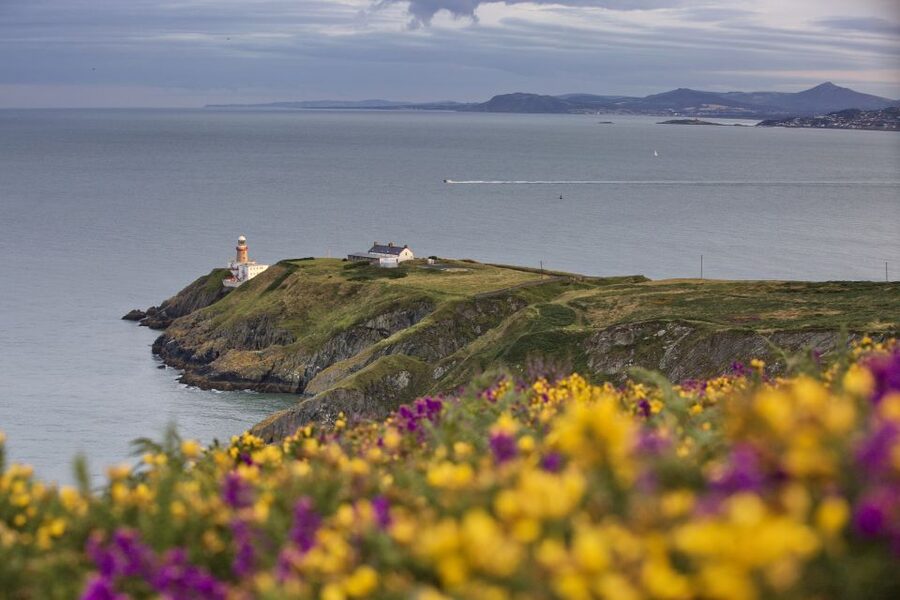 From Dublin: Half-Day Guided Coastal Tour to Howth Village - Key Things You Should Know Before You Go