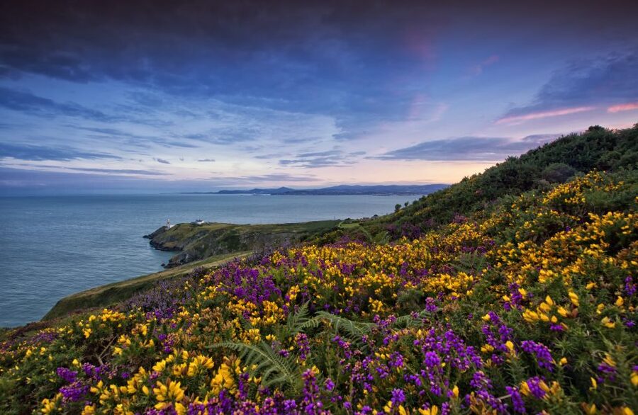 From Dublin: Half-Day Guided Coastal Tour to Howth Village - From Central Dublin to Howth, Fast and Easy