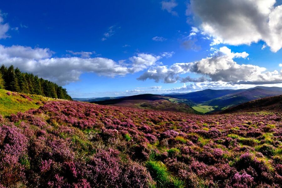 From Dublin: Wicklow Mountains, Glendalough & Kilkenny Tour - Glendalough Valley and the Monastery Walk: Where the Day Gets Quiet