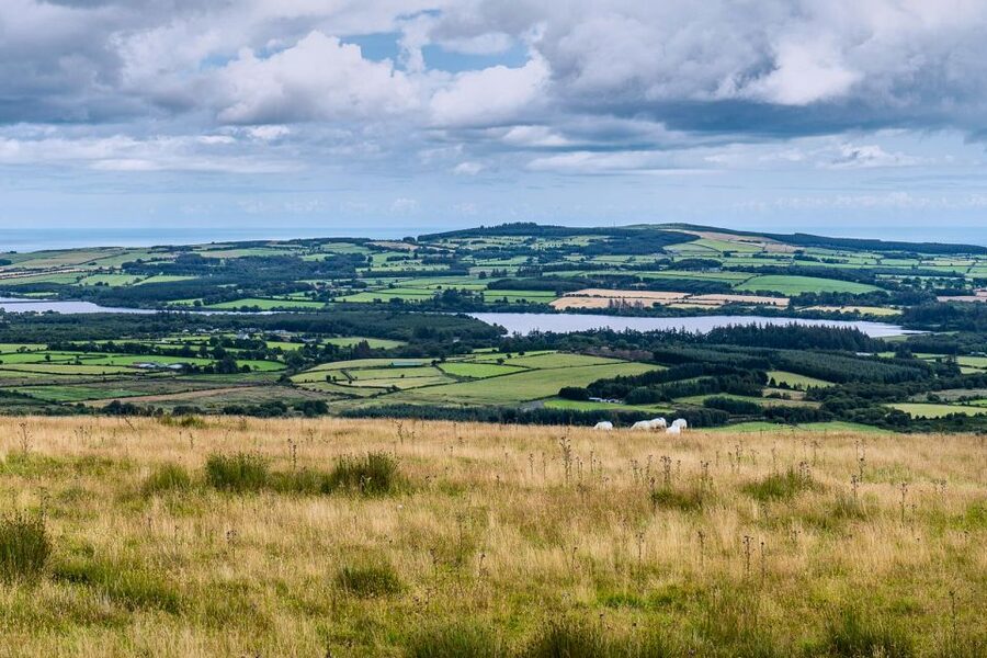 From Dublin: Wicklow Mountains, Glendalough & Kilkenny Tour - Who This Tour Is Best For (And Who Should Skip It)
