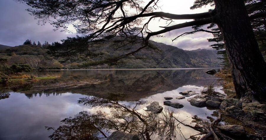 From Dublin: Wicklow Mountains, Glendalough & Kilkenny Tour - Getting Started: Dublin Pickup, Comfort on Board, and Guide Style