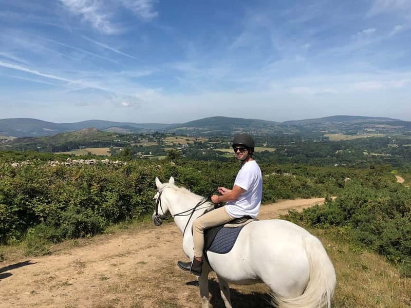 From Dublin: Wicklow, Powerscourt, and Glendalough Day Tour - Why Powerscourt and Glendalough Beat a Typical Dublin Day