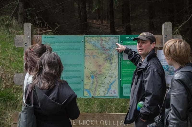 From Dublin: Wicklow, Powerscourt, and Glendalough Day Tour - How the Tour Actually Feels: pace, van size, and the guide factor