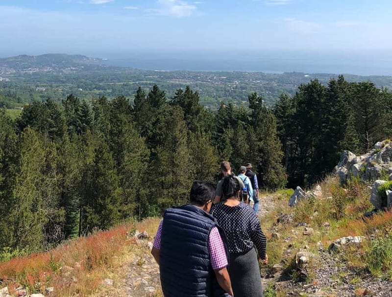 From Dublin: Wicklow, Powerscourt, and Glendalough Day Tour - What to Bring (and what to do if the weather turns)
