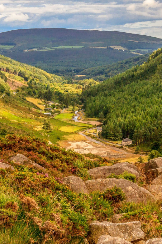 From Dublin: Wild Wicklow Mountains and Glendalough Tour - Key Things That Make This Day Trip Worth Your Time