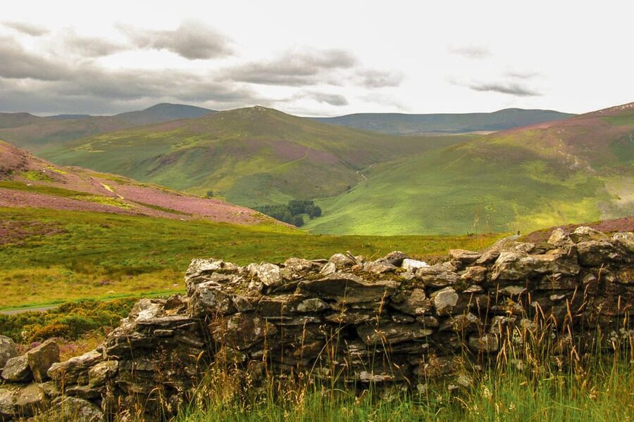From Dublin: Wild Wicklow Mountains and Glendalough Tour - Guides, Comfort, and the Little Details That Make It Feel Smooth