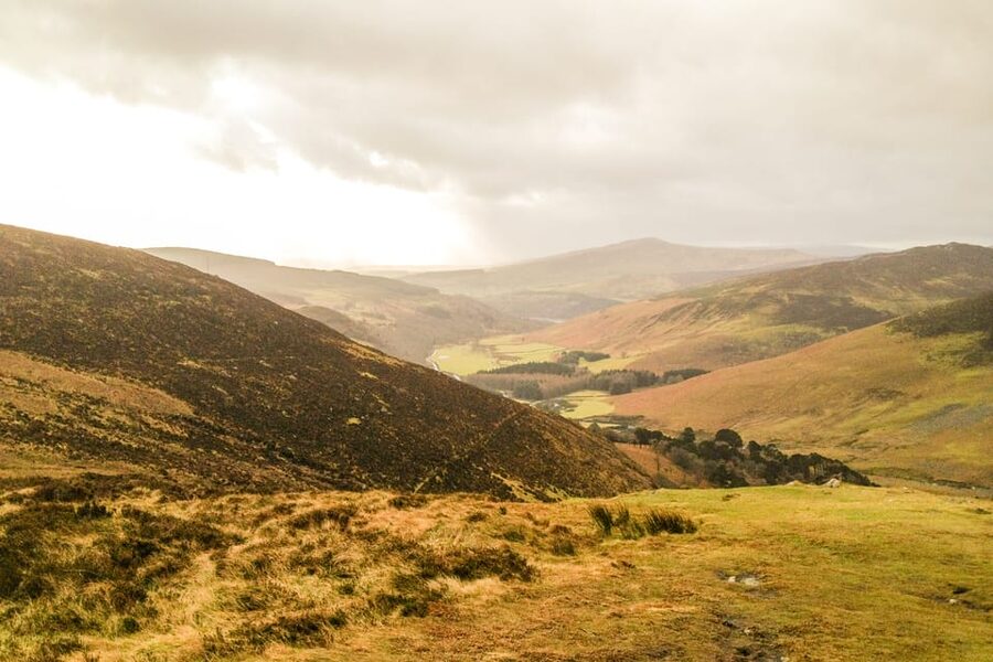 From Dublin: Wild Wicklow Mountains and Glendalough Tour - Lynhams of Laragh Lunch: A Traditional Irish Pub Break