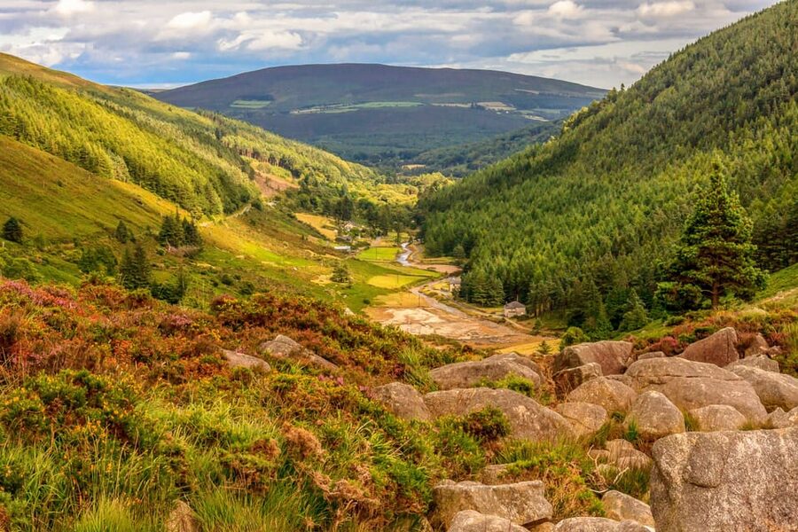 From Dublin: Wild Wicklow Mountains and Glendalough Tour - The Whiskey Tasting Finish: Glendalough Irish Whiskey at the Birthplace