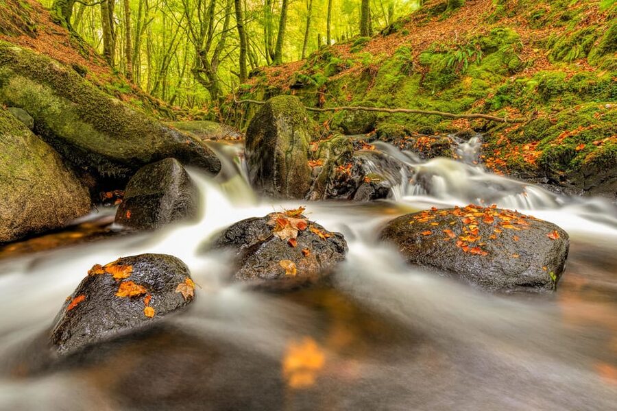 From Dublin: Wild Wicklow Mountains and Glendalough Tour - Who This Tour Fits Best (And Who Might Skip It)