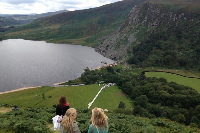 Full Day Private Wicklow Tour - Sally Gap: High Views, Film and TV Stories, and a Photo-Friendly Pause