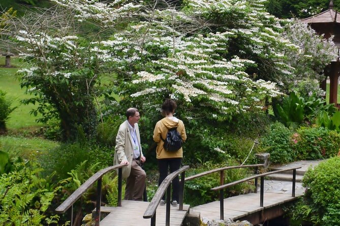 Full Day Private Wicklow Tour - Value and Price: Does $903.08 per Group Make Sense?
