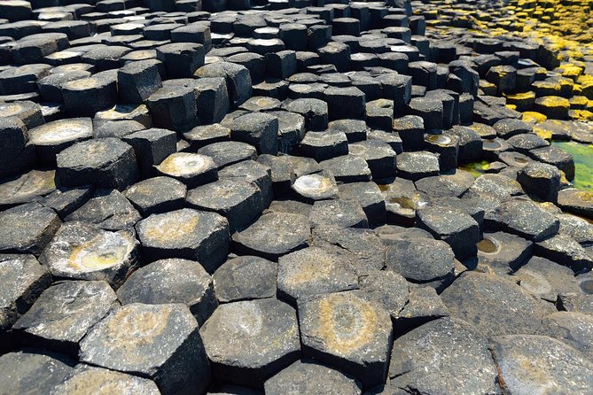 Giant's Causeway Custom Tailored Award Winning Private Tour. - A tailored Giant’s Causeway day is about control, not rushing