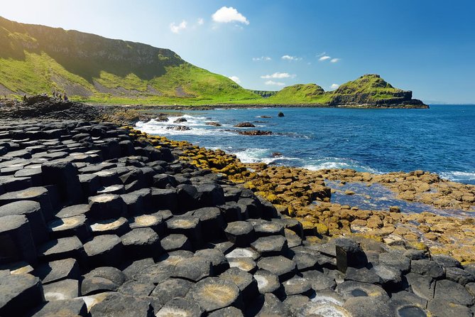 Giant's Causeway Custom Tailored Award Winning Private Tour. - The Dark Hedges: a quick stop with Game of Thrones fame