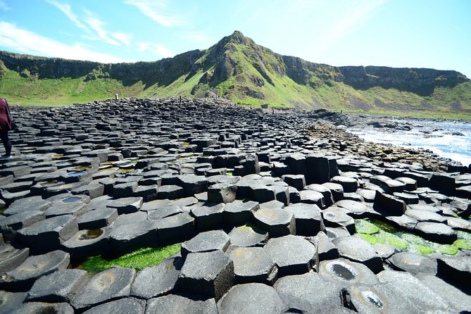 Giant's Causeway, Dark of Hedges & Belfast Day Tour From Dublin - Getting on the coach: Molly Malone, early start, and what to watch for