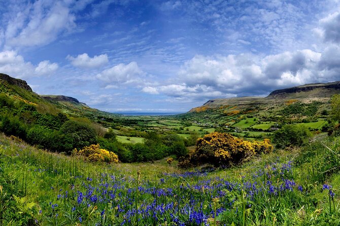 Giant's Causeway with the Titanic Exhibition and the best of Northern Ireland - The Dark Hedges: 20 minutes at the Game of Thrones style road