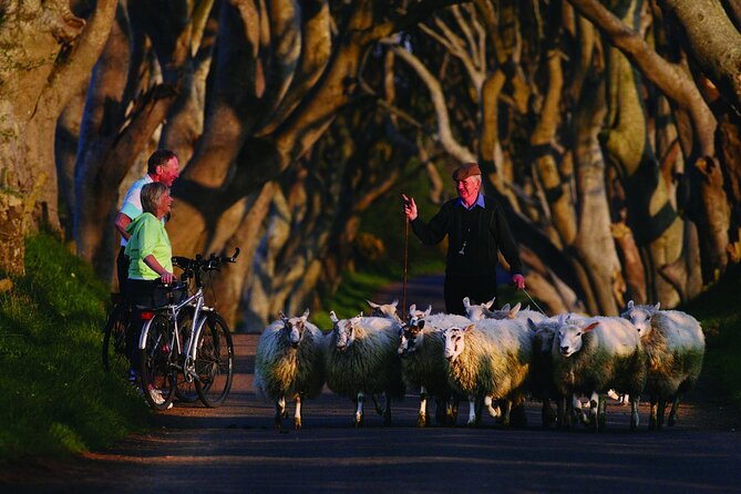 Giant's Causeway with the Titanic Exhibition and the best of Northern Ireland - Guides and drivers: why the day feels fun instead of robotic