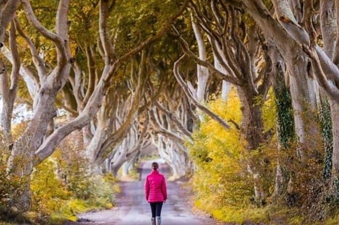 Giants Causeway and Belfast 2 Days with Private Chauffeur Tour - Who This Tour Is Best For (and Who Might Want to Skip It)