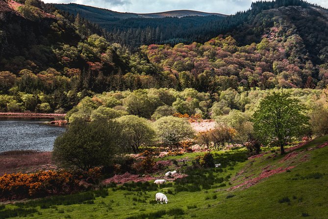 Glendalough Day Tour from Dublin: Including Kilkenny City - Price and Value: What You Pay for at About $48.27