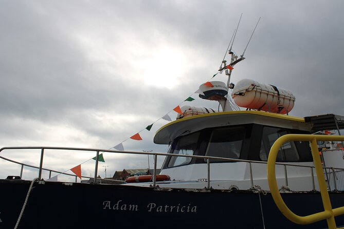 Howth Cliffs and Ireland's Eye Ferry Boat Tour - Wildlife and photo expectations: how to get the most out of the route