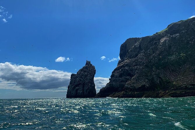 Howth Cliffs and Ireland's Eye Ferry Boat Tour - Price and value for Dublin: is $24.20 worth it?