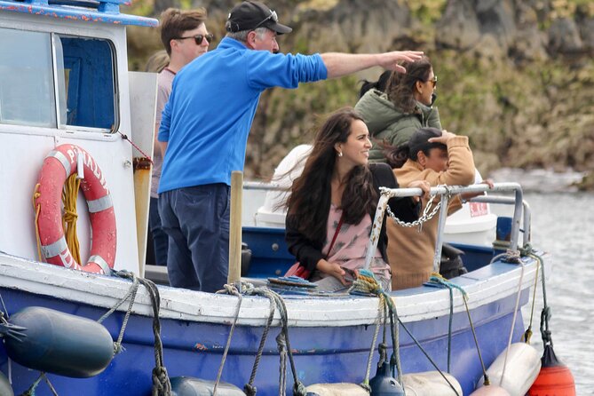 Howth Coastal Boat Tour (Ireland's Eye Ferries 50 mins trip) - The hour-long route: what happens from meeting time to return