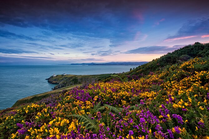 Howth Coastal Half-Day Bus Tour from Dublin with Live Guide - Why this half-day Howth trip feels like a smart use of Dublin time