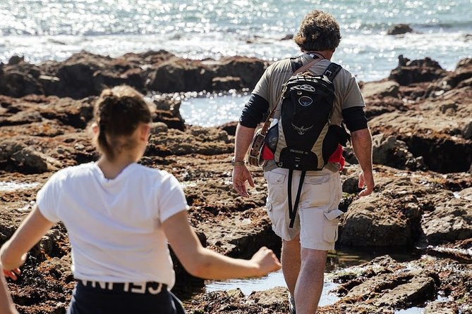 Howth Safari Hiking Tour - Baily Lighthouse and the Red Rock Pause