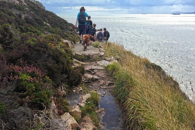 Howth Safari Hiking Tour - Howth Summit: The Big View Finale (and Your Ending Options)