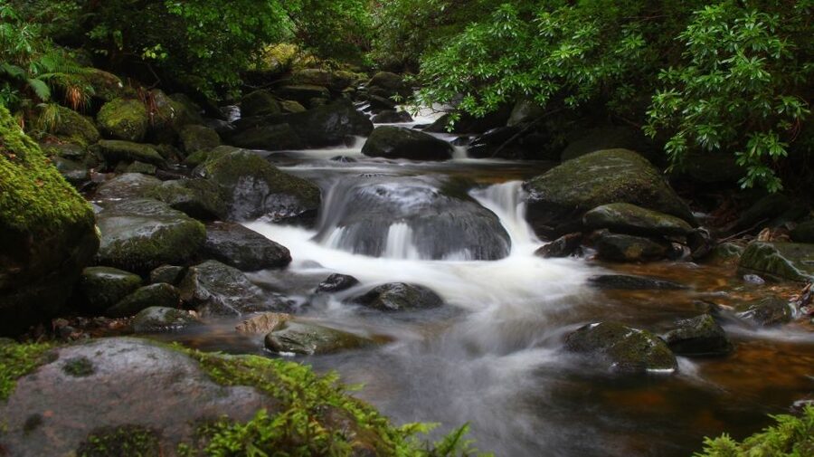 Ireland: 2 Day Wild Atlantic Way Tour - Ring of Kerry highlights on day 2: gaps, lakes, and a classic stop list