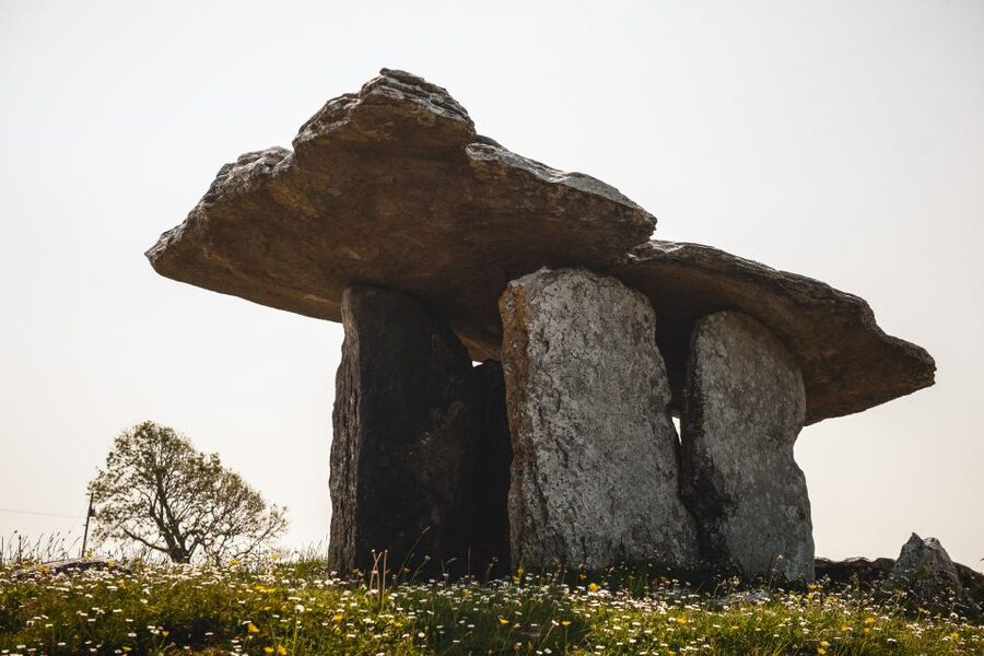 Ireland: 3-Day West Coast Explorer Tour - Price and value: why this one is not just a bus ride