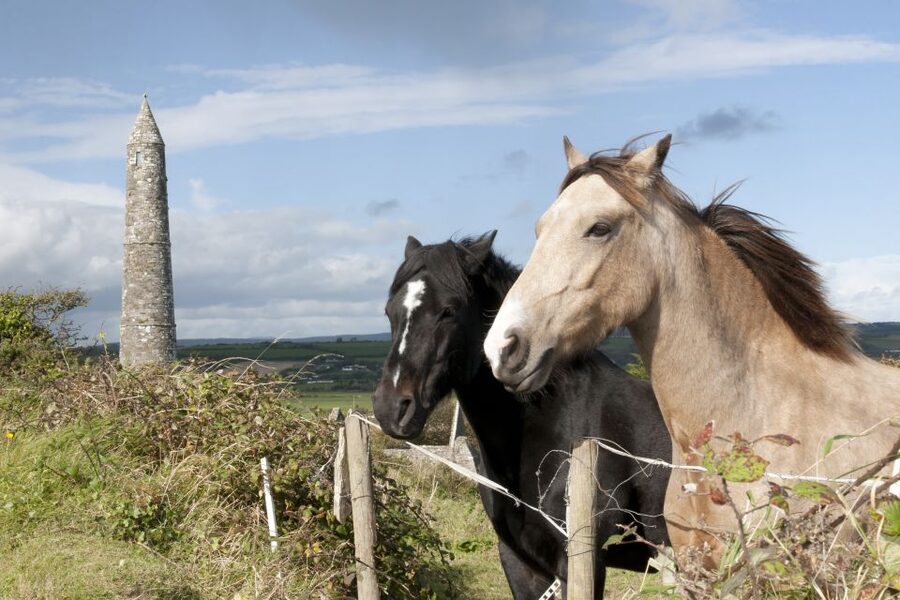 Ireland: Blarney Castle, Kilkenny & Irish Whiskey 3-Day Tour - Price and value: what $788 covers, and what you should budget