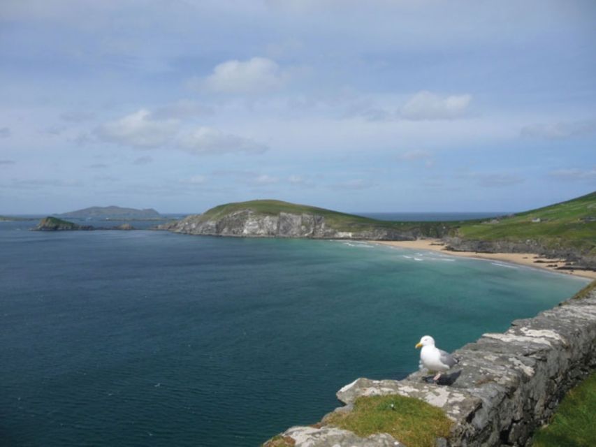 Ireland's North Atlantic Coast 5-Day Tour from Dublin - Small-group comfort: what 16 passengers really buys you