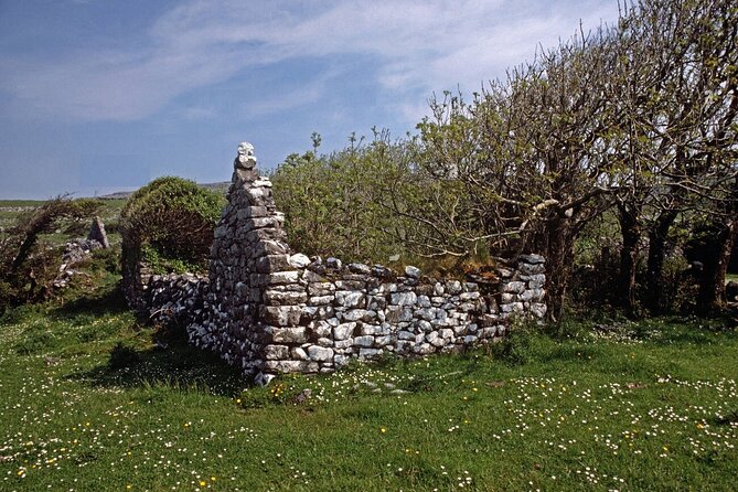 Irish Famine Museum / Exhibition Dublin - How the Self-Guided Format Works (and Who It Suits)