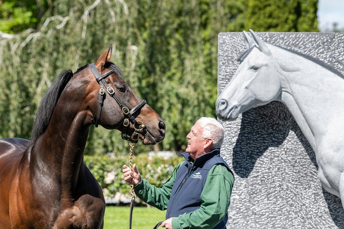 Irish National Stud & Gardens Skip the line Entrance - Getting there from Dublin, and what to do from Kildare station