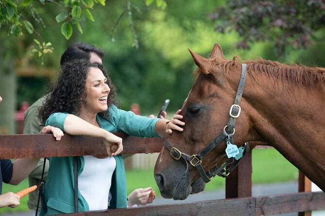 Irish National Stud & Gardens Skip the line Entrance - The Irish Racehorse Experience: why the interactive matters