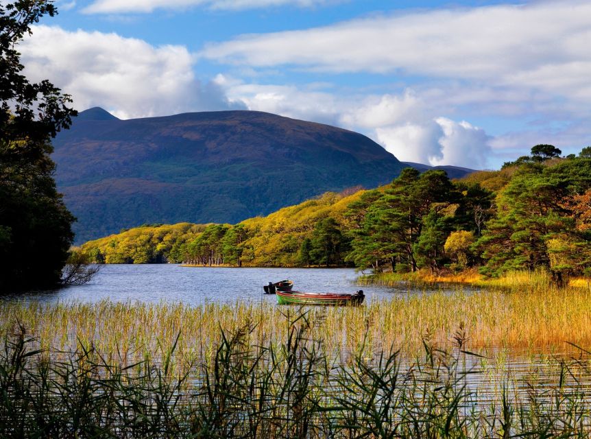 Kerry: Full-Day Tour from Dublin - Inch Beach: Miles of Sand and Atlantic Mood