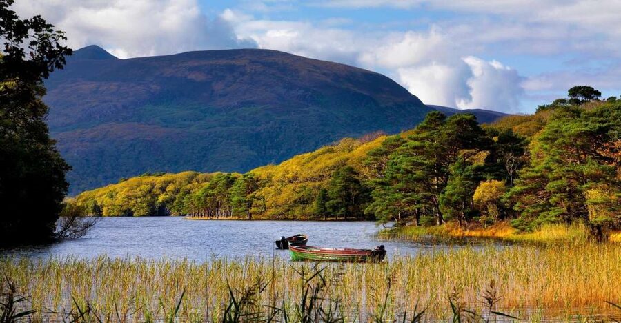 Kerry: Full-Day Tour from Dublin - Starting Point at Paddy’s Palace, Then You’re On the Move
