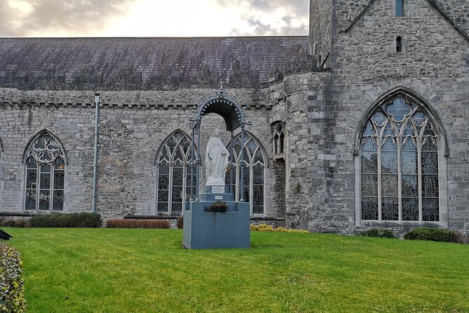 Kilkenny from Medieval to Modern City. Private Walking Tour - From priory to Butler Gallery: watching Kilkenny reuse its bones